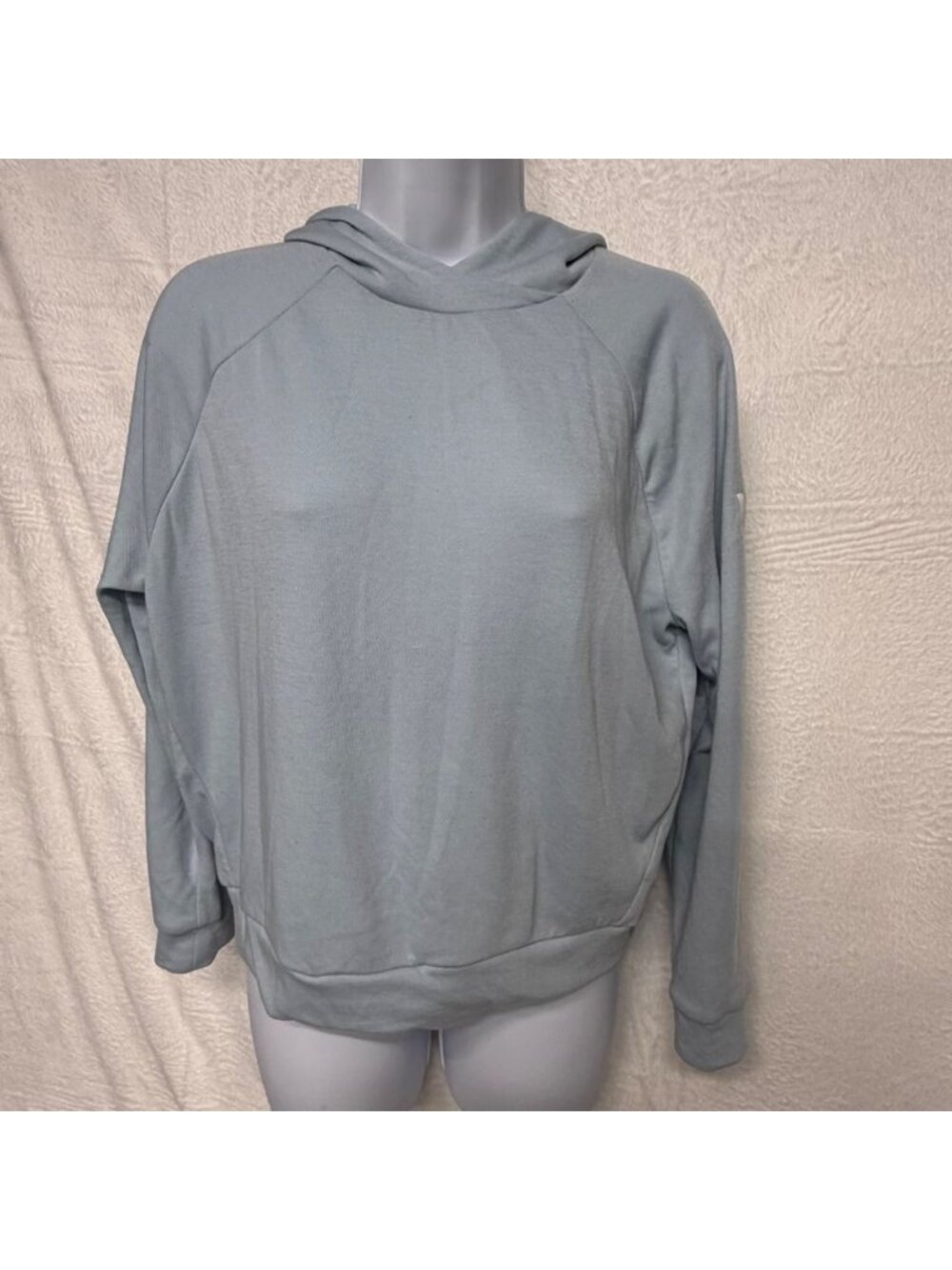 Baby Blue Helly Hansen Women’s Hoodie XS Gorpcore Ski Snowboard Pullover gorp